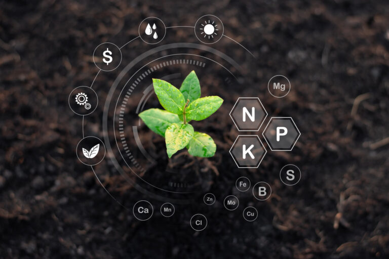 seedlings-are-growing-from-fertile-soil-environmental-concepts-1920x1280